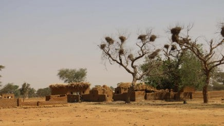 Konna et Bankass : plusieurs civils tués ou enlevés par des terroristes ce week-end