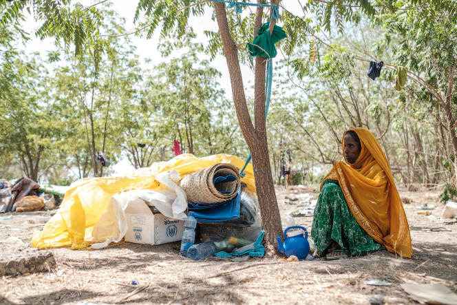 En Ethiopie, des attaques « sans précédent » contre les réfugiés érythréens