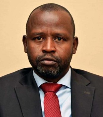 Sudan Revolutionary Front presents political initiative to Troika, EU