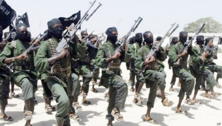 Mali : 12 “terroristes” neutralisés à Diallassagou et à Diawéli (armée)