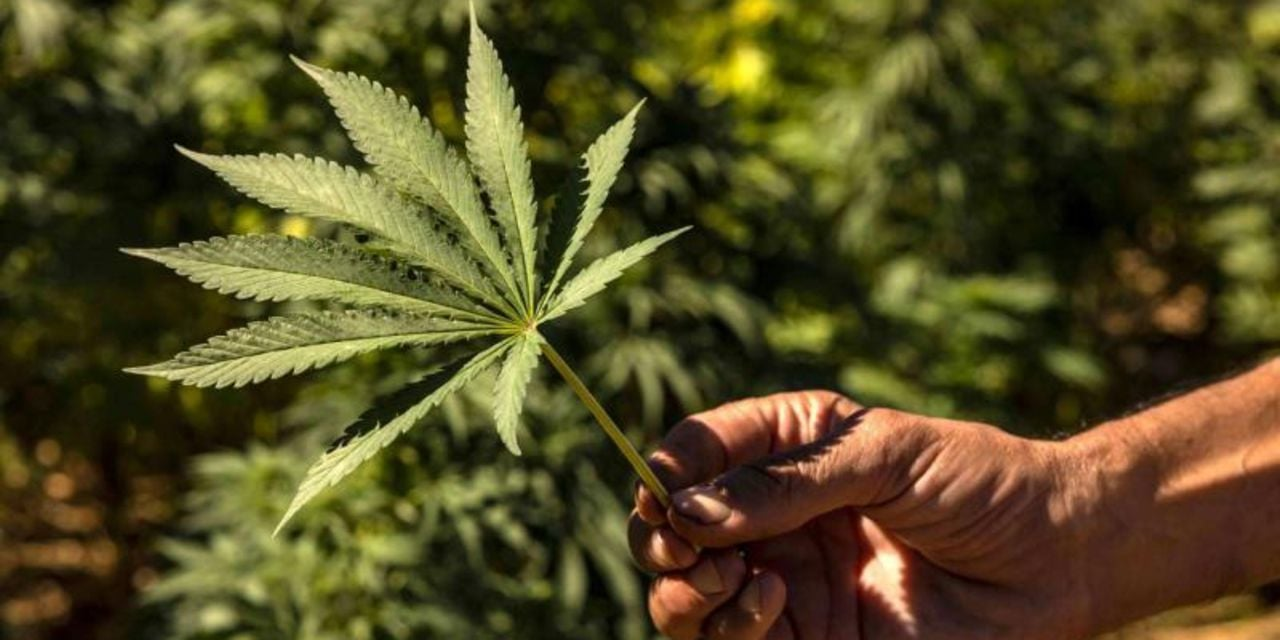 Morocco seizes 5.4 tonnes of cannabis, haul of cocaine