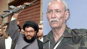 Germany’s Die Welt exposes Polisario-Iran nexus