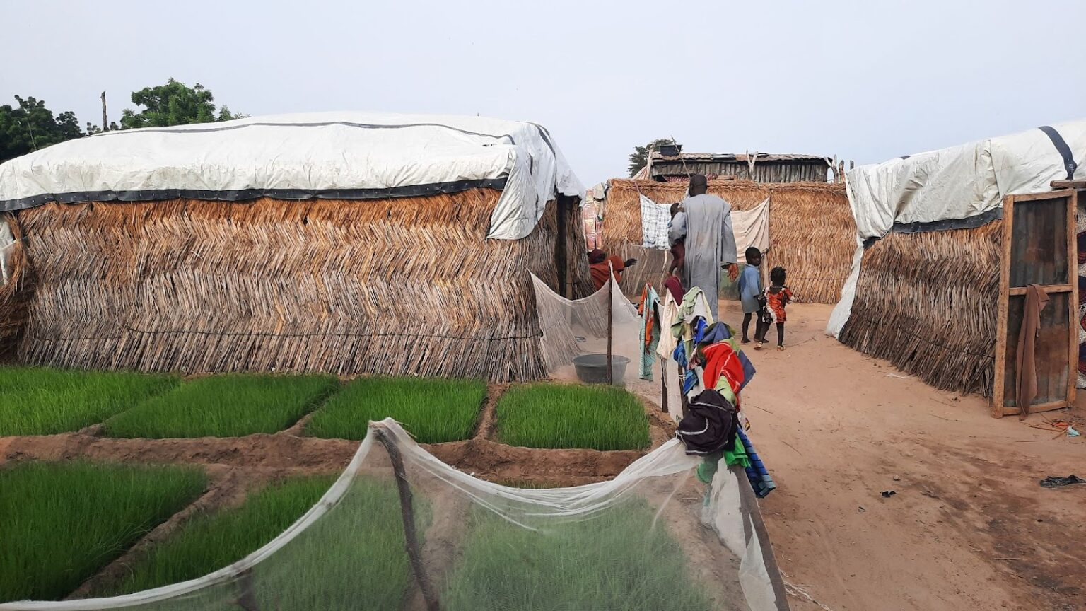 With Nothing To Eat, Nigeria’s IDPs Settle For The Leftover Of Those Who Terrorised Them