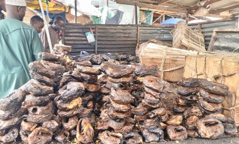 Fishermen In Nigeria’s North East Either Pay Levies To Terrorists Or Risk Assault, Death