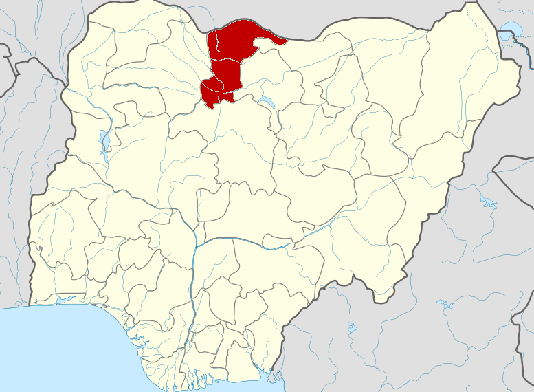 Police foil terrorist attack in Katsina, kill one – Official