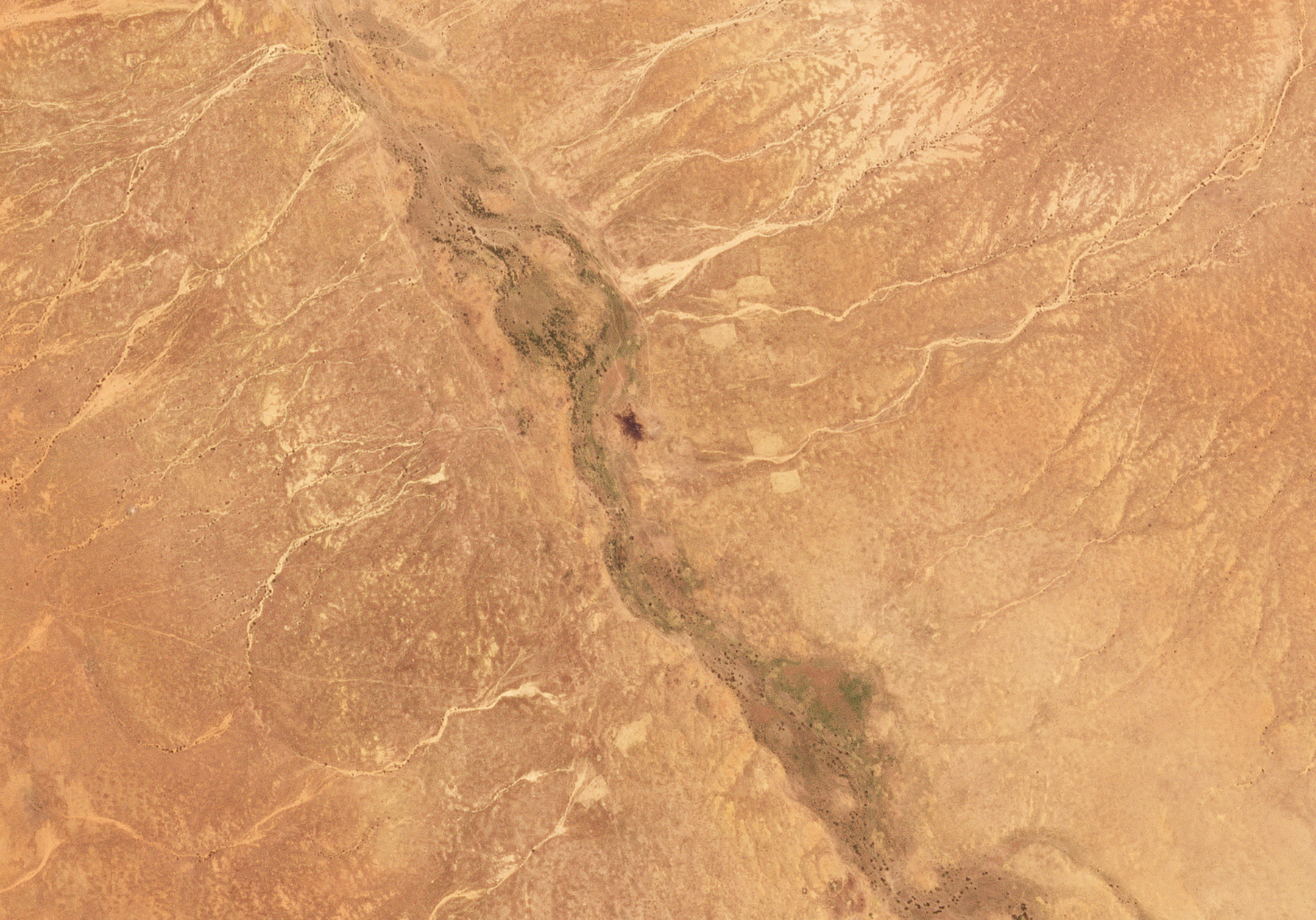 Exclusive: Plane downed in Darfur with suspected Russian crew was supplying army, rivals say