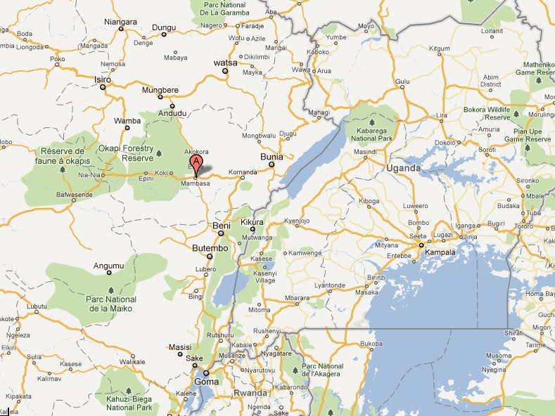 Nouvelle attaque des rebelles ADF à Mambasa : 3 morts et plusieurs blessés