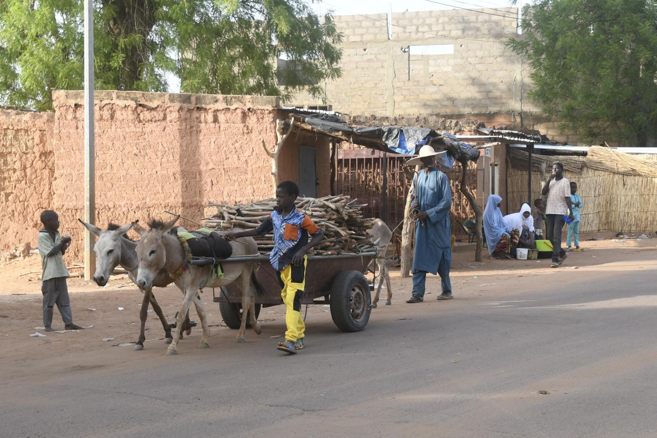 Au Niger, les jihadistes perturbent l’approvisionnement en bois de la capitale