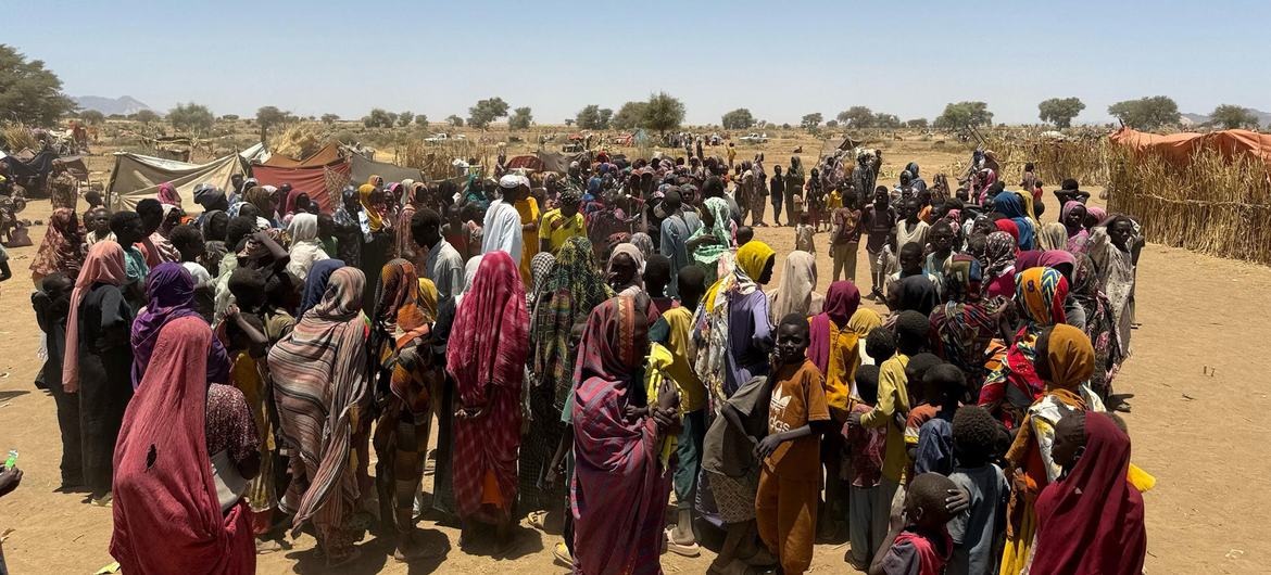 Soudan : près de 65.000 personnes déplacées par les combats au Kordofan